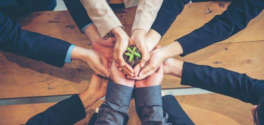 Read more about the article Sustainability in Business: From Responsibility to Long-Term Advantage