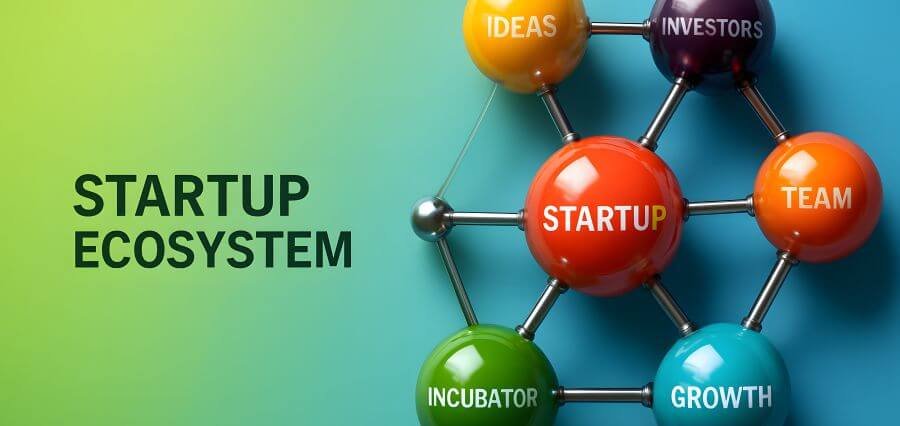 Read more about the article The Startup Ecosystem: Where Ideas Find Their Wings